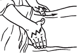 Иллюстрация к книге — Большой справочник по массажу [_54.jpg]