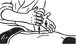 Иллюстрация к книге — Большой справочник по массажу [_56.jpg]