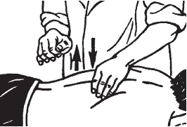 Иллюстрация к книге — Большой справочник по массажу [_57.jpg]