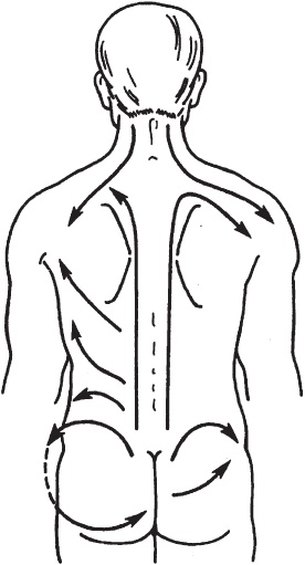 Иллюстрация к книге — Большой справочник по массажу [_61.jpg]