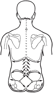 Иллюстрация к книге — Большой справочник по массажу [_63.jpg]