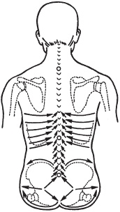 Иллюстрация к книге — Большой справочник по массажу [_65.jpg]