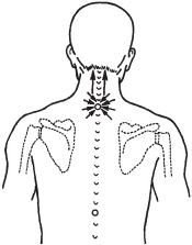 Иллюстрация к книге — Большой справочник по массажу [_68.jpg]