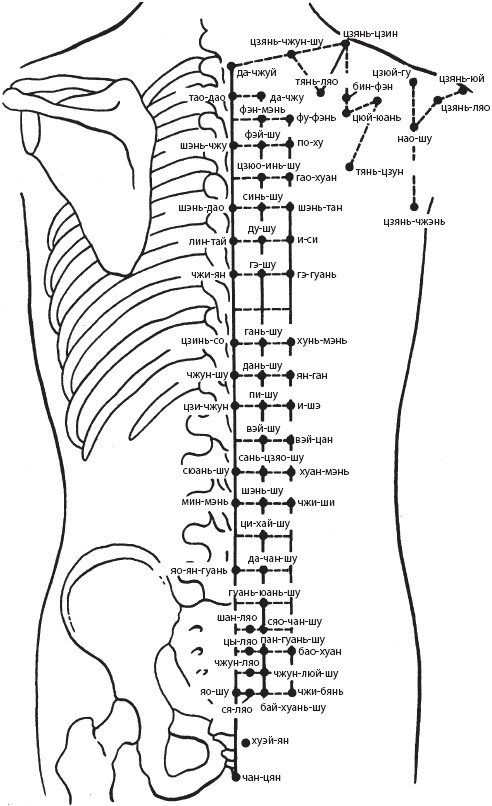 Иллюстрация к книге — Большой справочник по массажу [_77.jpg]