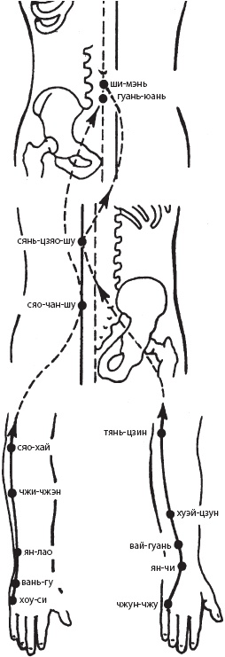 Иллюстрация к книге — Большой справочник по массажу [_83.jpg]
