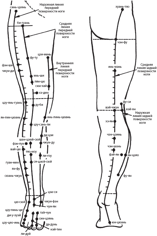 Иллюстрация к книге — Большой справочник по массажу [_84.jpg]