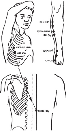 Иллюстрация к книге — Большой справочник по массажу [_86.jpg]