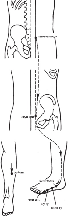 Иллюстрация к книге — Большой справочник по массажу [_87.jpg]