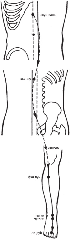 Иллюстрация к книге — Большой справочник по массажу [_91.jpg]