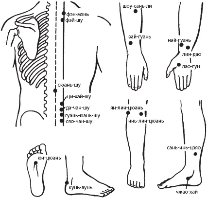 Иллюстрация к книге — Большой справочник по массажу [_94.jpg]