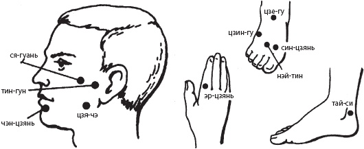 Иллюстрация к книге — Большой справочник по массажу [_96.jpg]