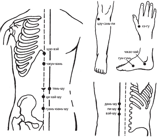 Иллюстрация к книге — Большой справочник по массажу [_98.jpg]