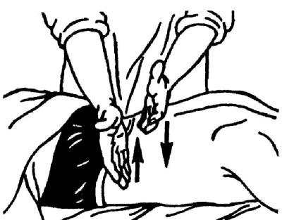 Иллюстрация к книге — Все про массаж [i_030.jpg]