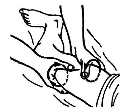 Иллюстрация к книге — Все про массаж [i_033.jpg]