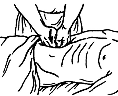 Иллюстрация к книге — Все про массаж [i_041.jpg]