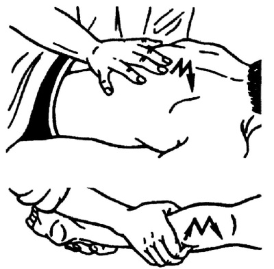 Иллюстрация к книге — Все про массаж [i_043.jpg]