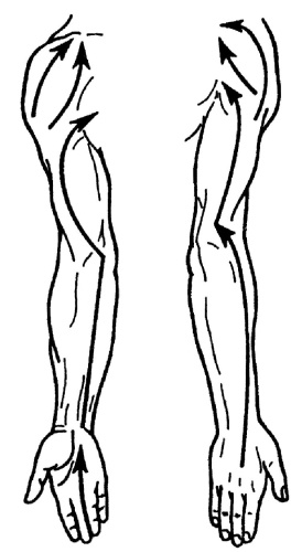 Иллюстрация к книге — Все про массаж [i_050.jpg]