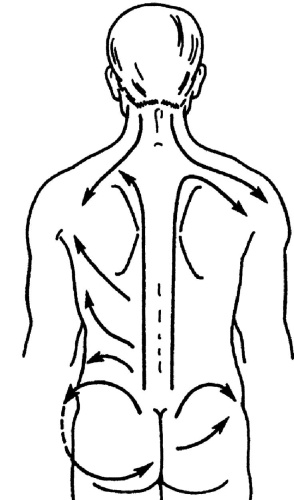 Иллюстрация к книге — Все про массаж [i_052.jpg]