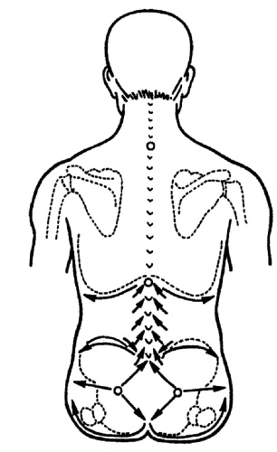Иллюстрация к книге — Все про массаж [i_062.jpg]