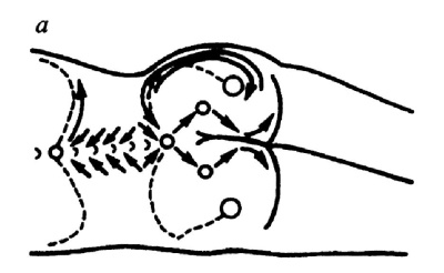 Иллюстрация к книге — Все про массаж [i_063.jpg]