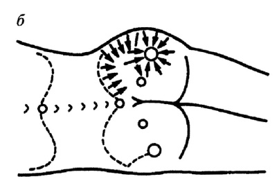 Иллюстрация к книге — Все про массаж [i_065.jpg]