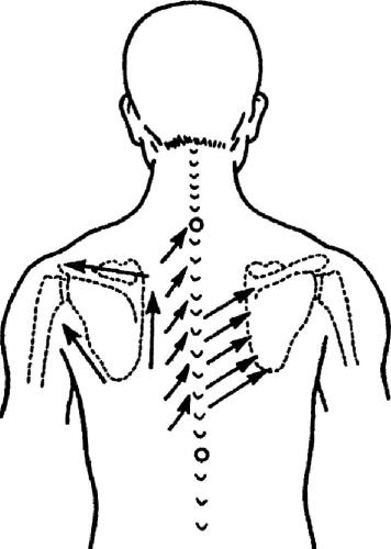 Иллюстрация к книге — Все про массаж [i_068.jpg]