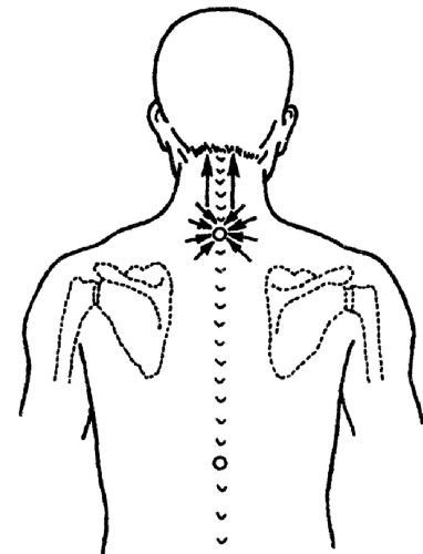 Иллюстрация к книге — Все про массаж [i_069.jpg]