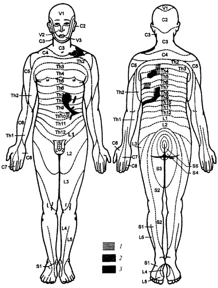 Иллюстрация к книге — Все про массаж [i_079.jpg]