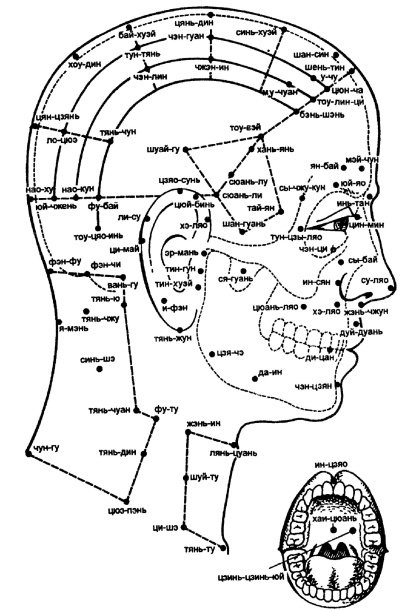Иллюстрация к книге — Все про массаж [i_083.jpg]