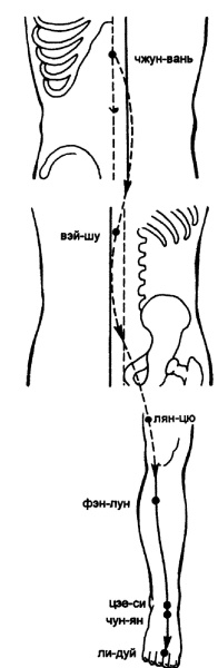 Иллюстрация к книге — Все про массаж [i_095.jpg]