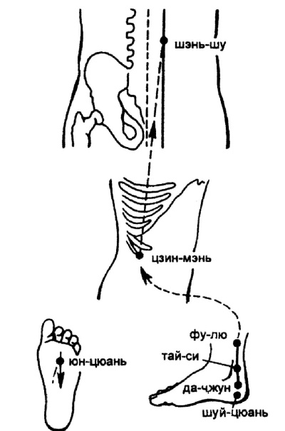 Иллюстрация к книге — Все про массаж [i_098.jpg]