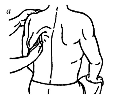 Иллюстрация к книге — Все про массаж [i_130.jpg]