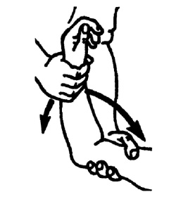 Иллюстрация к книге — Все про массаж [i_179.jpg]