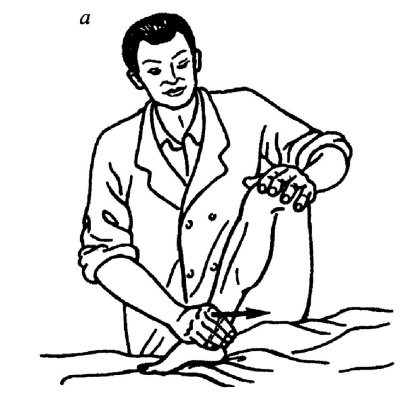 Иллюстрация к книге — Все про массаж [i_184.jpg]