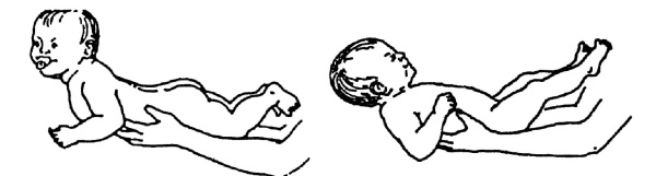 Иллюстрация к книге — Все про массаж [i_208.jpg]