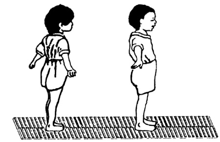 Иллюстрация к книге — Все про массаж [i_216.jpg]