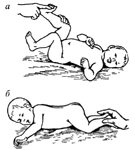 Иллюстрация к книге — Все про массаж [i_219.jpg]