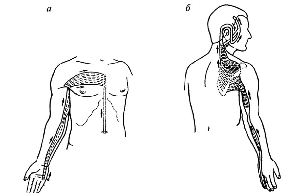 Иллюстрация к книге — Все про массаж [i_227.jpg]