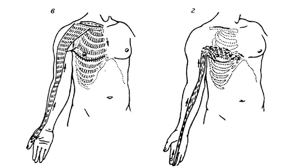 Иллюстрация к книге — Все про массаж [i_228.jpg]