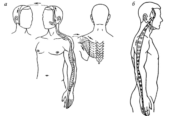 Иллюстрация к книге — Все про массаж [i_229.jpg]