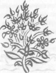 Иллюстрация к книге — Беременность и роды. Волшебное начало новой жизни [i_002.jpg]