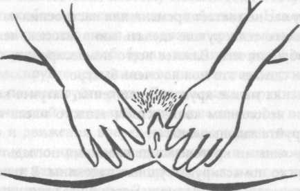 Иллюстрация к книге — Беременность и роды. Волшебное начало новой жизни [i_007.jpg]