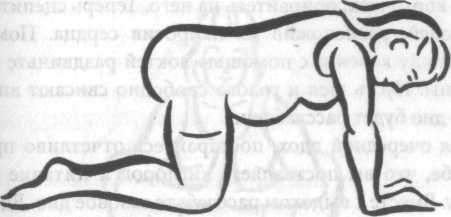 Иллюстрация к книге — Беременность и роды. Волшебное начало новой жизни [i_010.jpg]