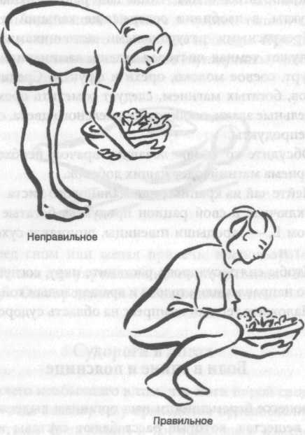 Иллюстрация к книге — Беременность и роды. Волшебное начало новой жизни [i_018.jpg]