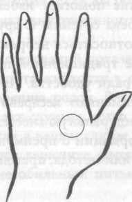 Иллюстрация к книге — Беременность и роды. Волшебное начало новой жизни [i_021.jpg]