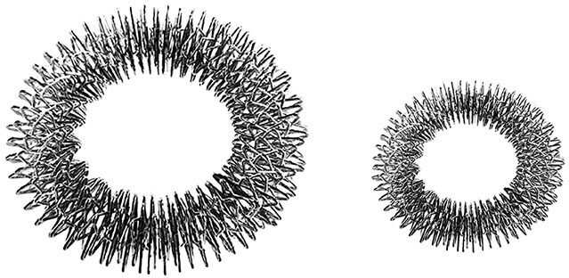 Иллюстрация к книге — 5 наших чувств для здоровой и долгой жизни. Практическое руководство [i_002.jpg]