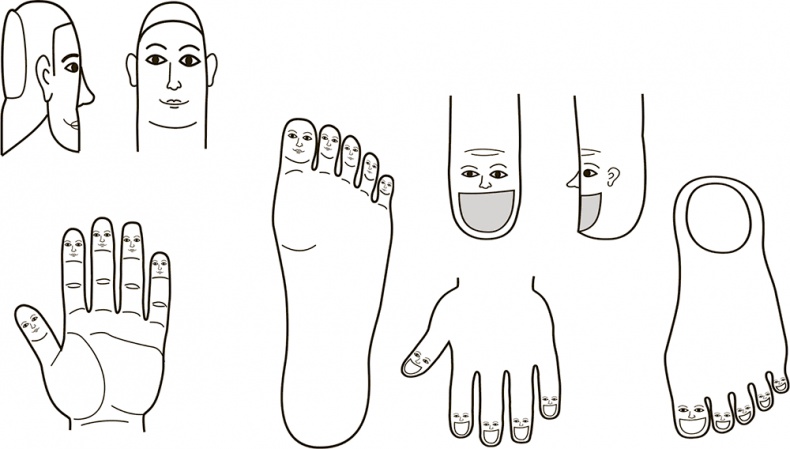 Иллюстрация к книге — 5 наших чувств для здоровой и долгой жизни. Практическое руководство [i_003.jpg]