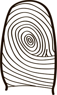 Иллюстрация к книге — 5 наших чувств для здоровой и долгой жизни. Практическое руководство [i_008.jpg]