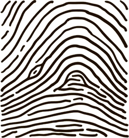 Иллюстрация к книге — 5 наших чувств для здоровой и долгой жизни. Практическое руководство [i_013.jpg]