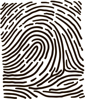 Иллюстрация к книге — 5 наших чувств для здоровой и долгой жизни. Практическое руководство [i_017.jpg]